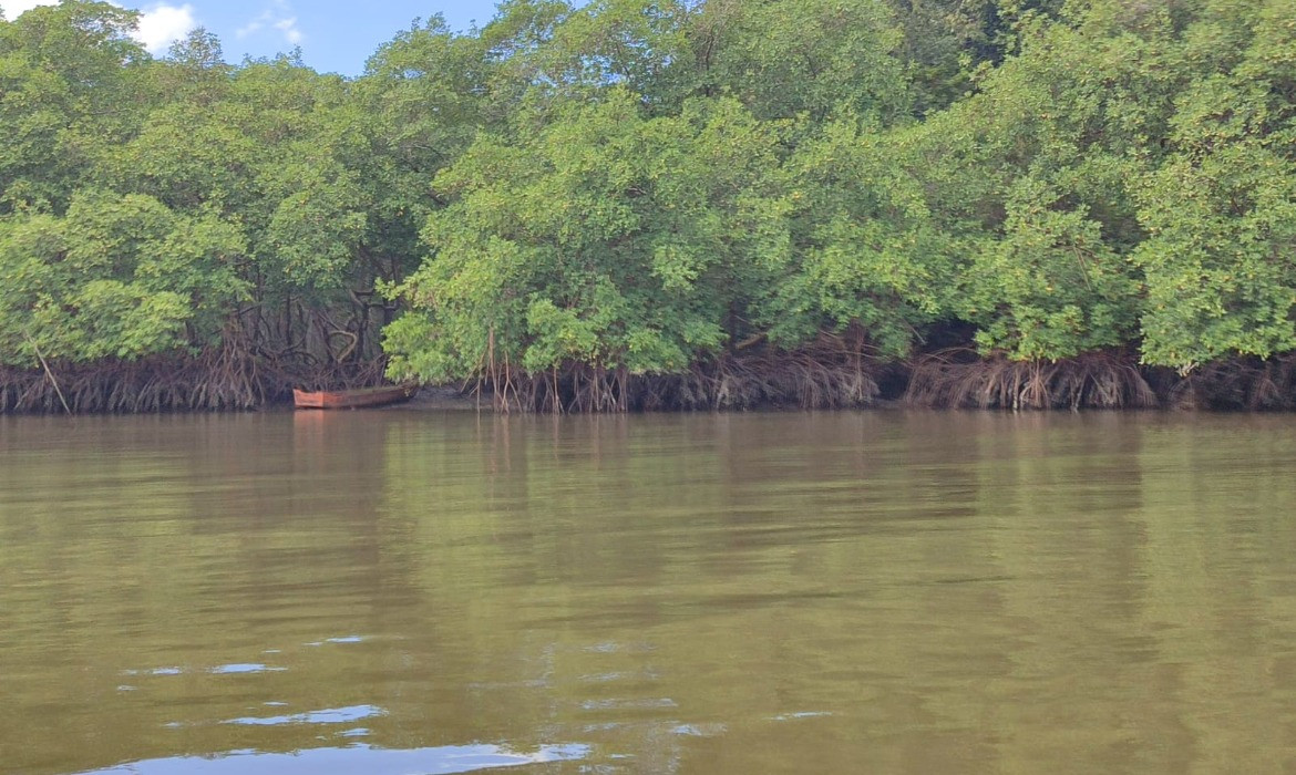 Fiscalização intensiva da Semam resulta em apreensões de pesca irregular durante andada do caranguejo no estuário do Piraquê-açu