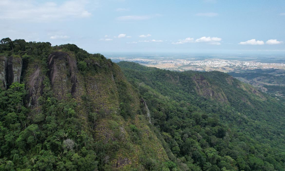 Aracruz se destaca como uma das 10 cidades que mais reflorestaram no Brasil