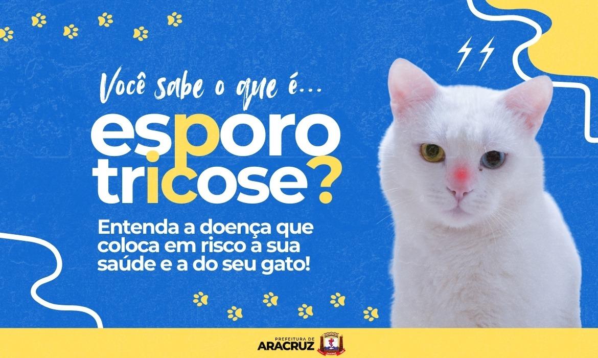 De olho na sua saúde e a do seu gato