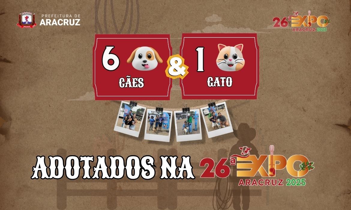 Feira de Adoção da 26ª Expo Aracruz muda o destino de sete animais