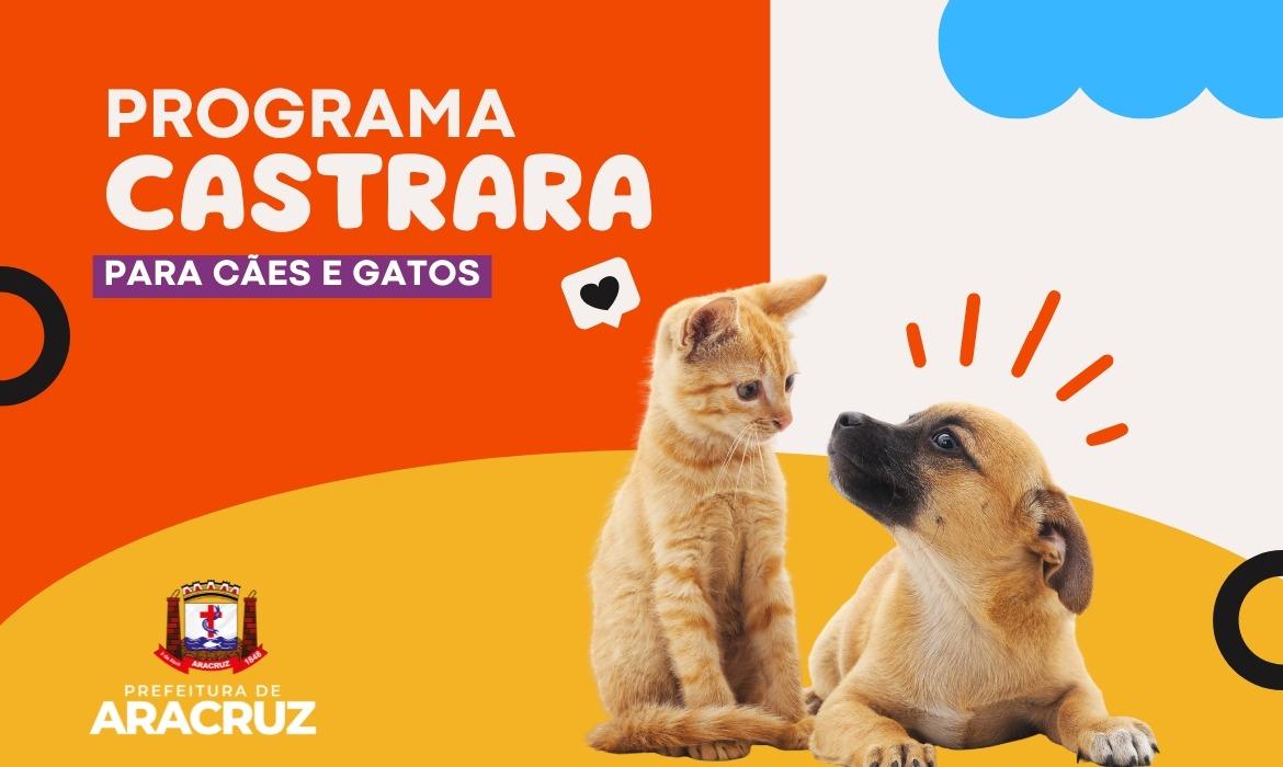 Aracruz abre cadastro para o 2º ciclo do Programa de Castração de Cães e Gatos