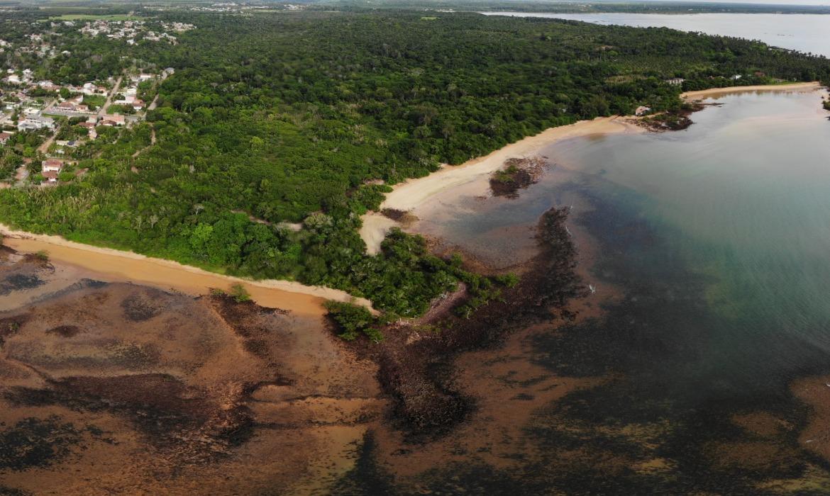 Aracruz abre Consulta Pública para criação do Corredor de Biodiversidade