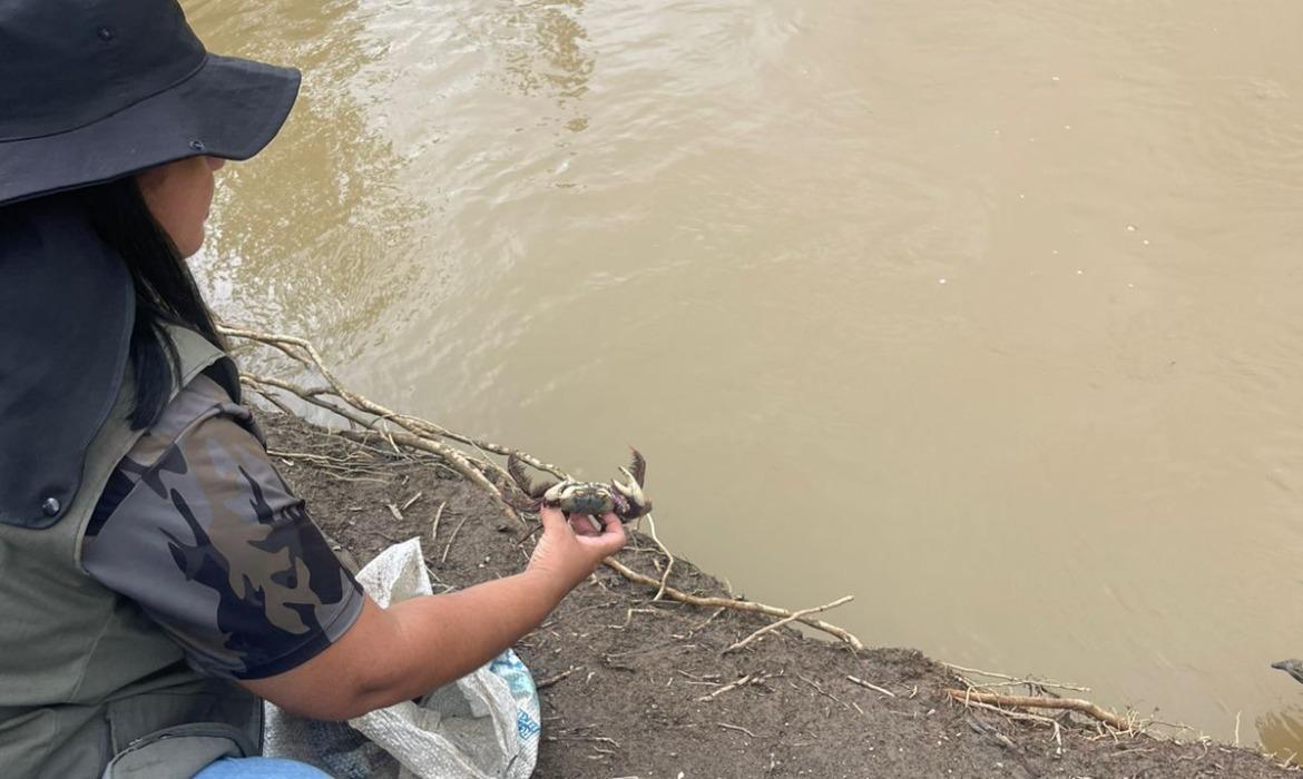 Meio Ambiente apreende caranguejos durante fiscalização