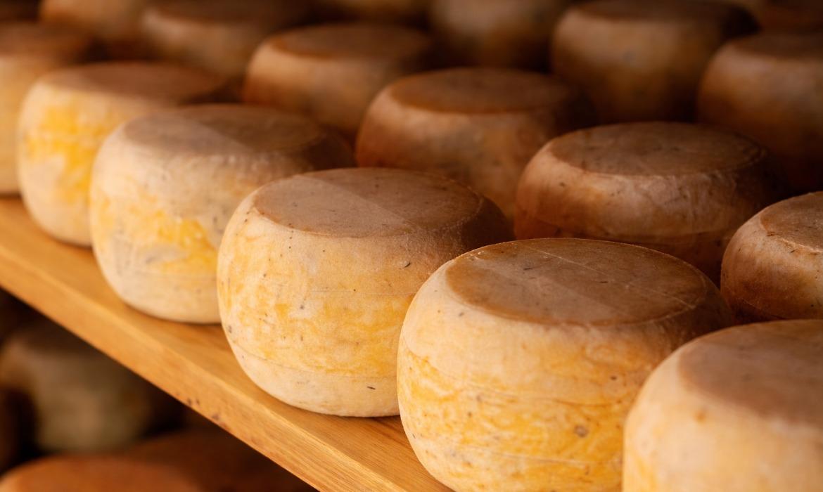 Produtores de Aracruz participam da eleição de queijos artesanais do Espírito Santo