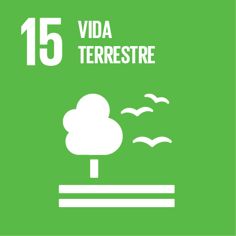 15 - Vida Terrestre