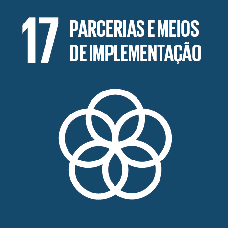 17 - Parcerias e Meios de Implementação