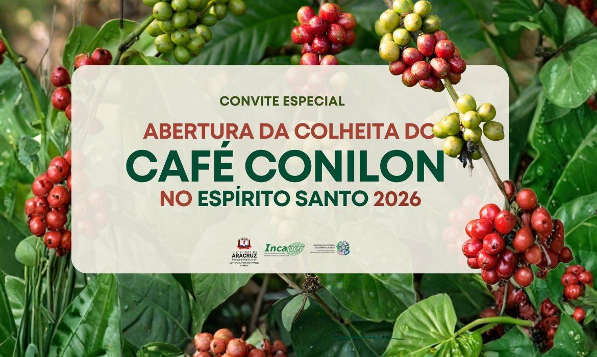 Agricultura: abertura oficial da colheira do Café Conilon acontece em Vila do Riacho