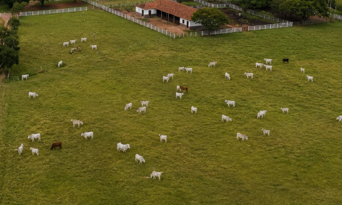 Produtores rurais têm até 30 de junho para atualizar cadastro de rebanhos junto ao Idaf