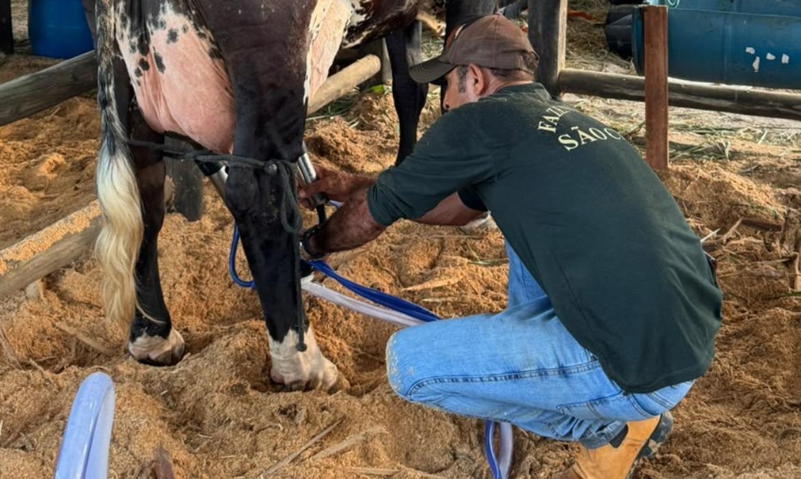 Concurso Leiteiro de Aracruz valoriza produtores durante a 28ª Festa de Santa Rosa