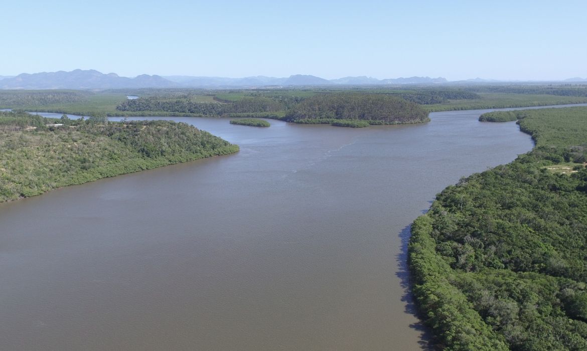 Consciência ambiental e conexão com a natureza: participe do mutirão de limpeza no manguezal do Piraquê-açu