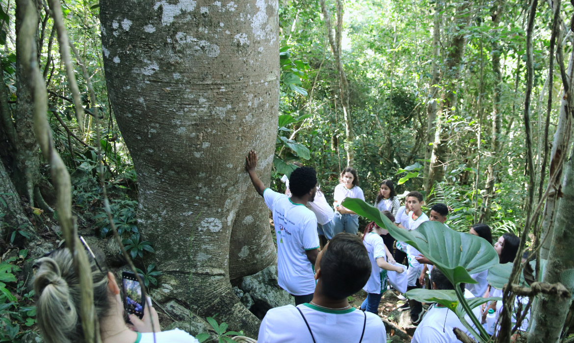 Baobá gigante impressiona alunos do projeto Escola no Aricanga