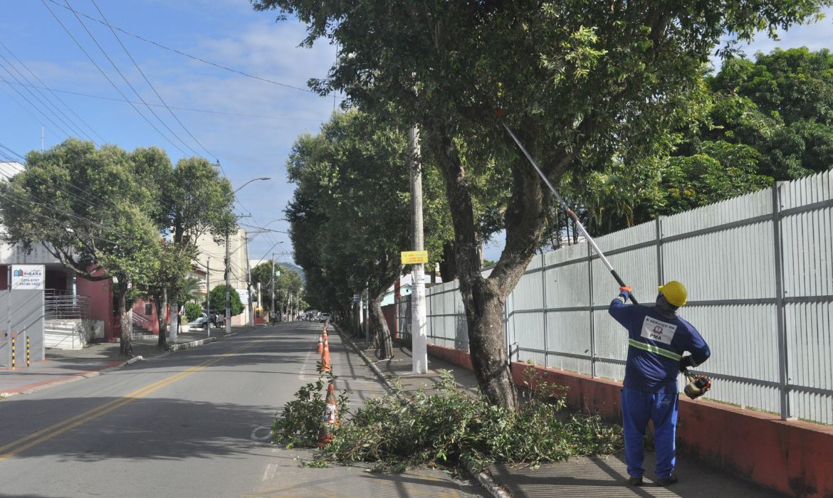 Prefeitura disponibiliza formulário eletrônico para solicitação de poda e corte de árvore