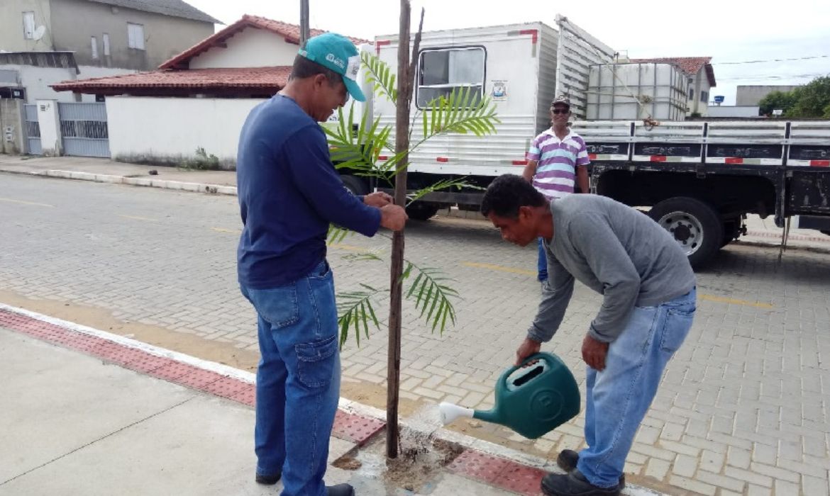 Serviço de arborização urbana no bairro Santa Rita prestes a ser finalizado