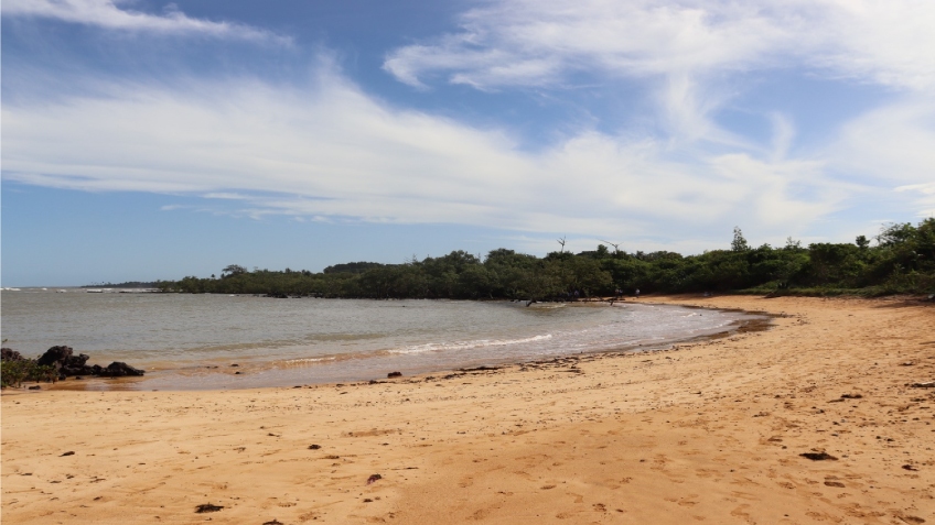 Praia da Biologia