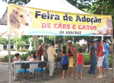 Cães e gatos encontram uma nova família em feira de adoção realizada em Aracruz 