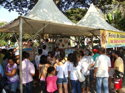 6ª Feira de Adoção de Cães e Gatos acontece neste sábado, dia 07, em Aracruz