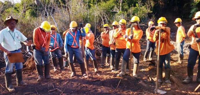 Turfa: Incêndio é controlado após diversas ações da Defesa Civil Estadual em parceria com a Defesa Civil municipal