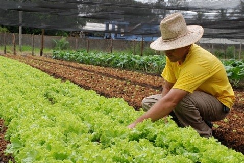 Aracruz realiza Encontro de Planejamento das Ações do PAA nesta quarta-feira (28)