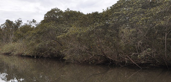 Seca: Falta de chuvas pode afetar o abastecimento de água em Aracruz