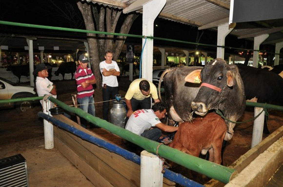 Concurso Leiteiro movimenta a pecuária leiteira na Expoagrovidas Aracruz