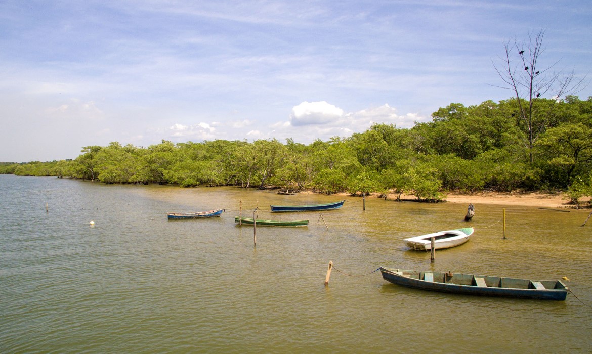 Dia Mundial de Limpeza de Rios e Praias tem ações em vários pontos do litoral de Aracruz