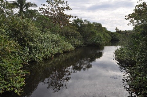 Prefeito Marcelo Coelho sanciona lei que reclassifica a Reserva Ecológica dos Manguezais Piraquê-açu e Piraquê-mirim