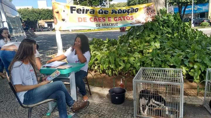 Feira de adoção de cães e gatos será realizada no sábado (12/03) no centro de Aracruz