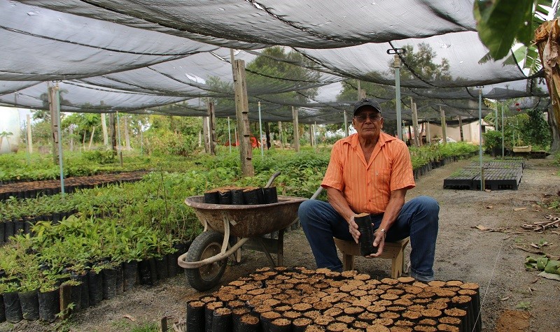 Prefeitura produz mudas para reflorestamento de áreas degradadas 