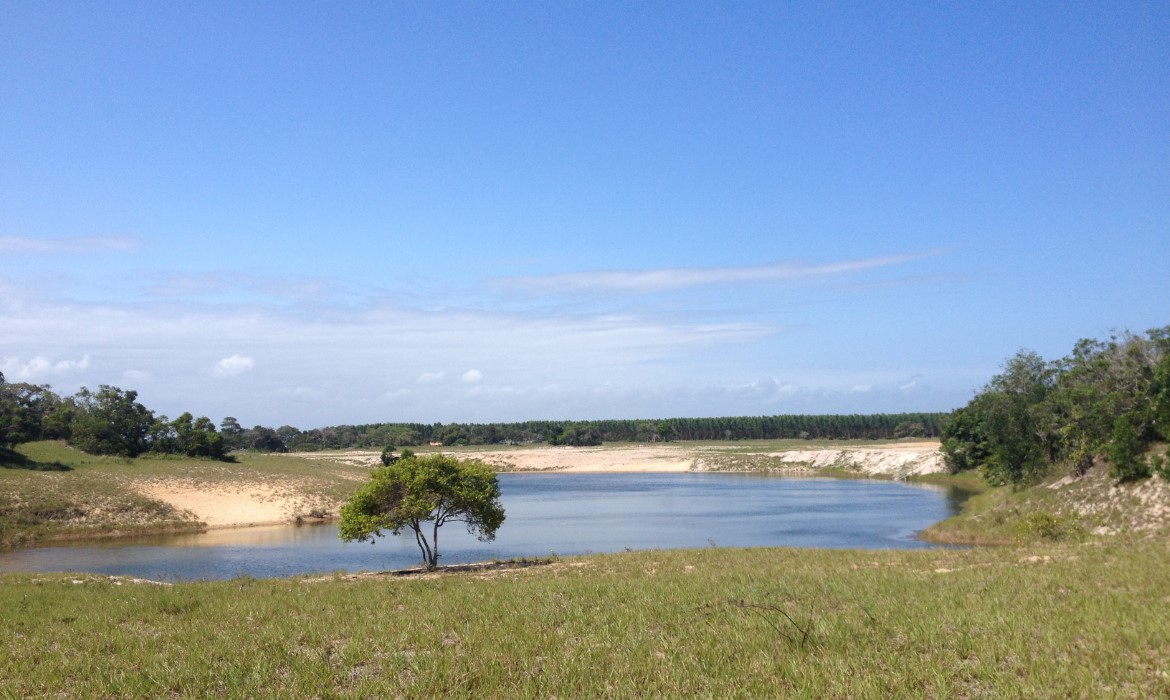 Unidades de Conservação de Aracruz esbanjam verde e biodiversidade 