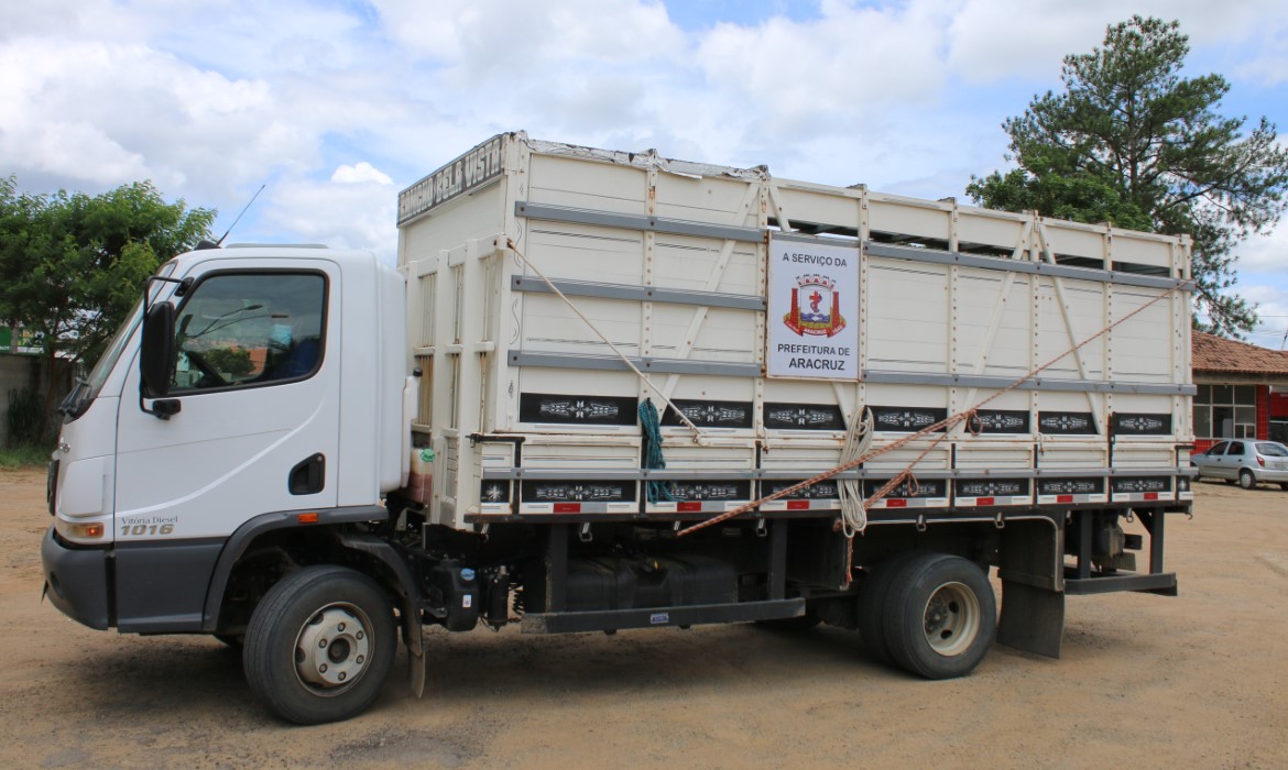 Município já conta com serviço de recolhimento de animais de grande porte