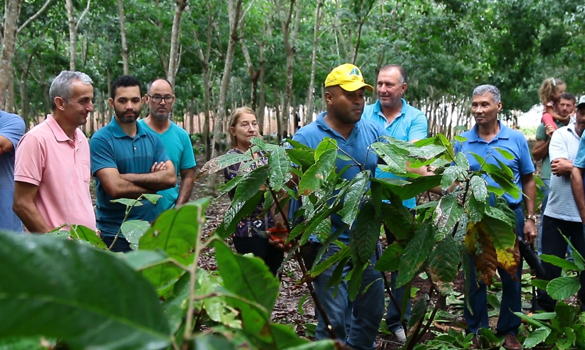 Dia de Campo apresenta técnicas para otimizar produção de cacau em Aracruz