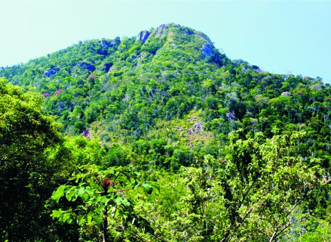 Passeio Ecológico ao Morro do Aricanga será neste domingo (17)