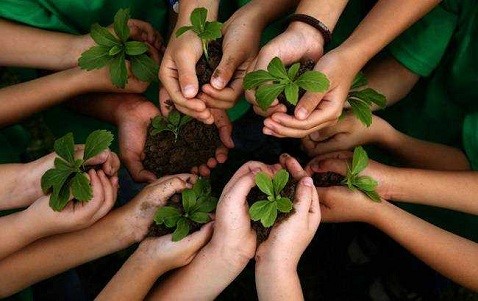 Alunos realizam plantio de mudas nativas nesta sexta-feira (8/11) em Barra do Riacho