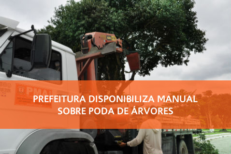 PREFEITURA DISPONIBILIZA NO SITE MANUAL SOBRE PODA DE ÁRVORES