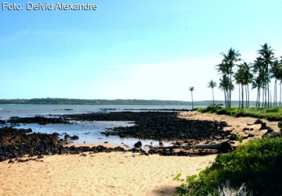 Secretaria de Meio Ambiente realiza ação de conscientização nas praias neste domingo (27)