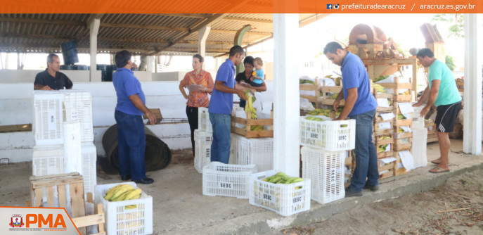 Programa de Aquisição de Alimentos beneficia agricultores e entidades em Aracruz