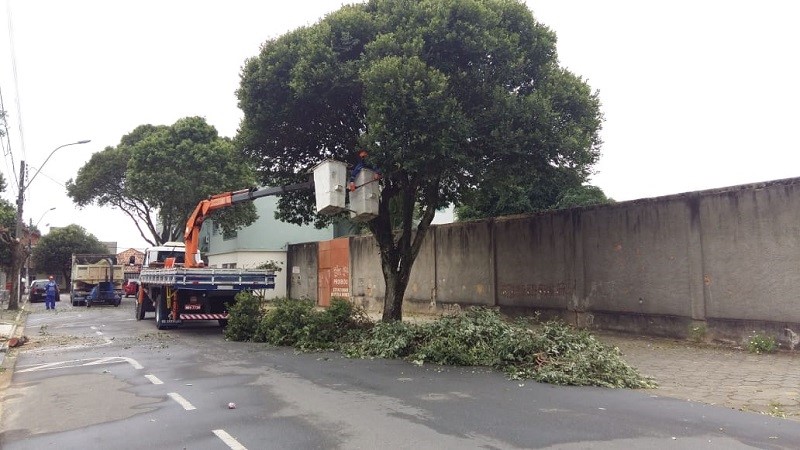 Prefeitura de Aracruz retoma serviços de podas em árvores do município