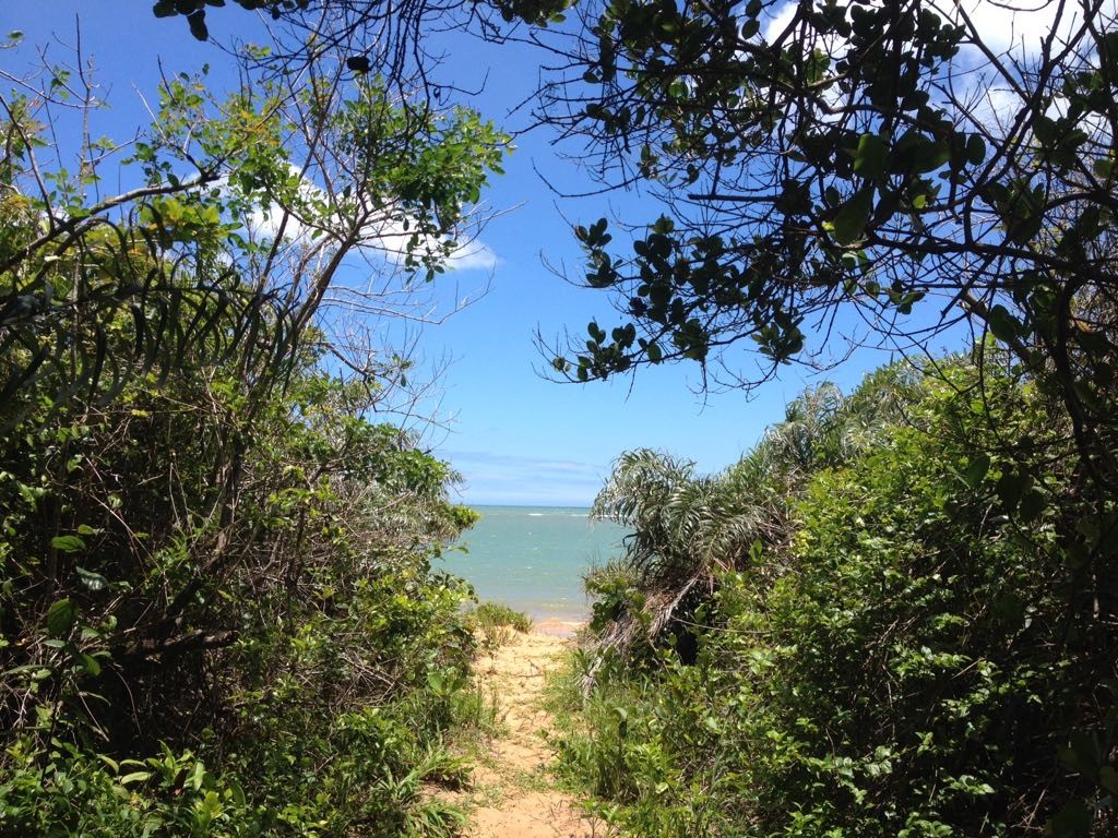 Trilhas e paisagens encantadoras para aproveitar o verão no Litoral de Aracruz