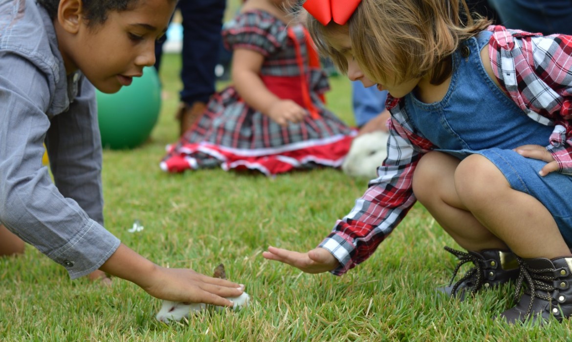 De mãos dadas com o Meio Ambiente: projeto incentiva interação com a natureza, na CMEI Epifânio Pontin