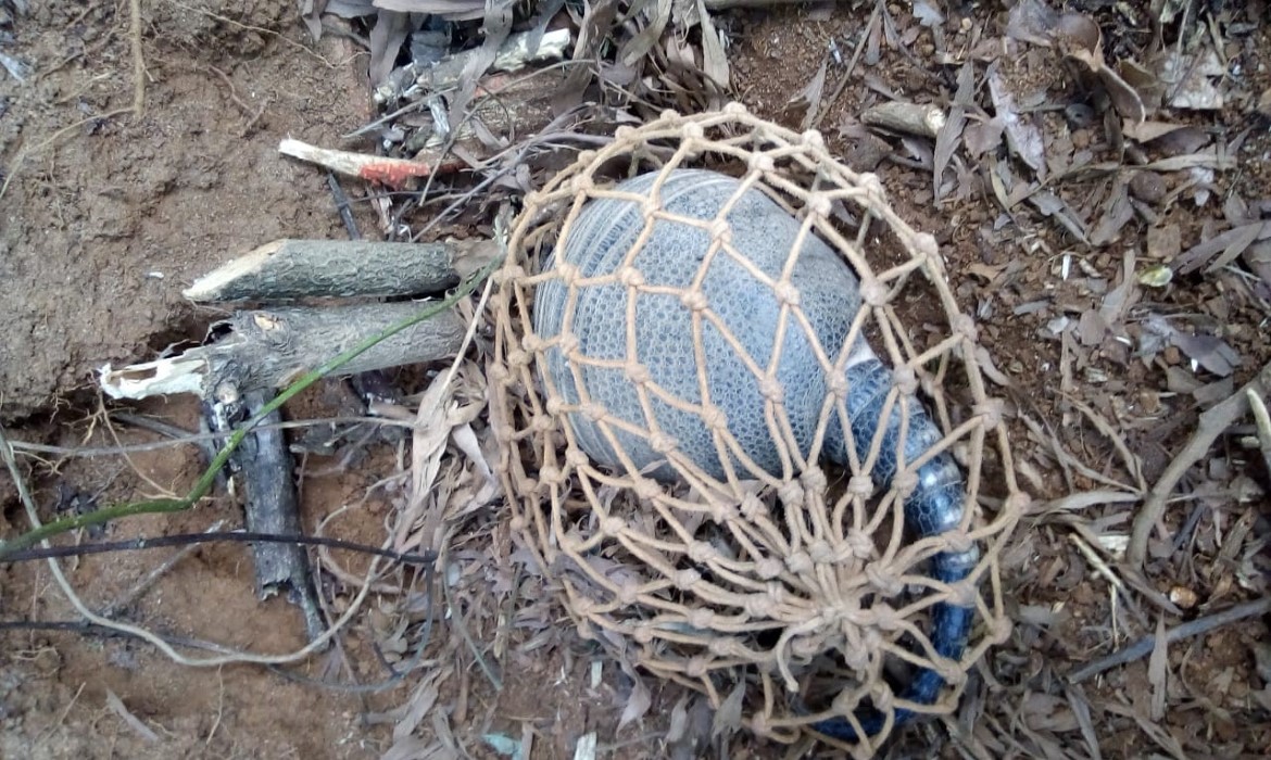 Guarda Florestal atua na proteção dos recursos naturais de Aracruz 