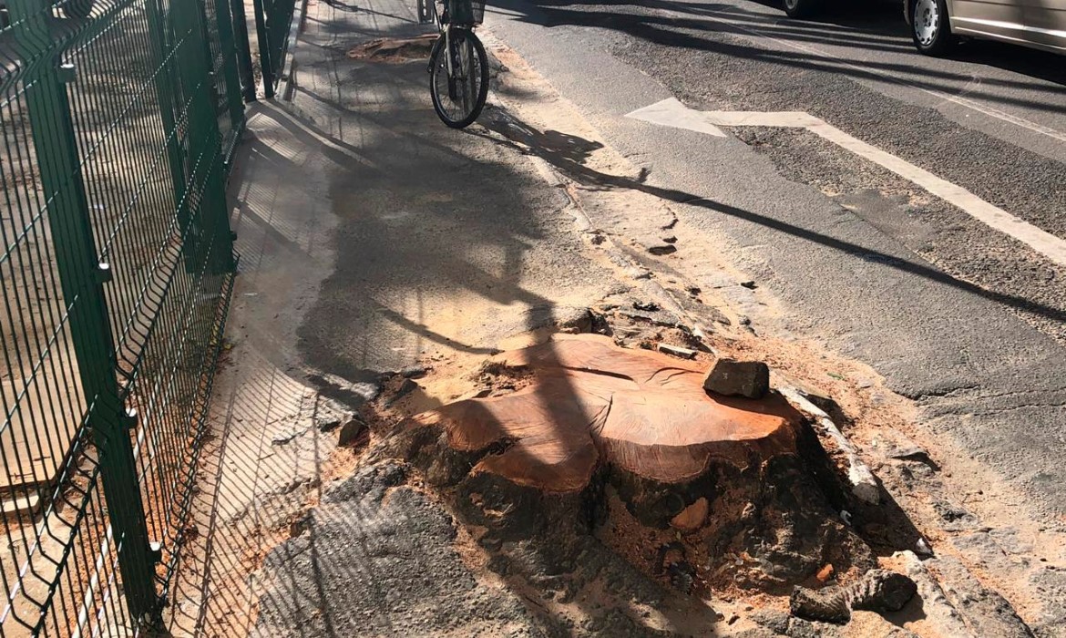 Retirada de árvores em calçada vai contribuir para acessibilidade de pedestres no centro de Aracruz