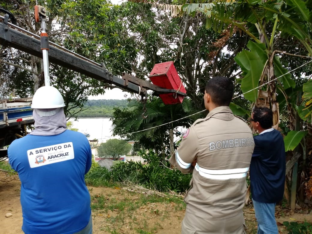 Supressão de árvores no Morro do Cruzeiro ajuda evitar deslizamentos e garante segurança de moradores