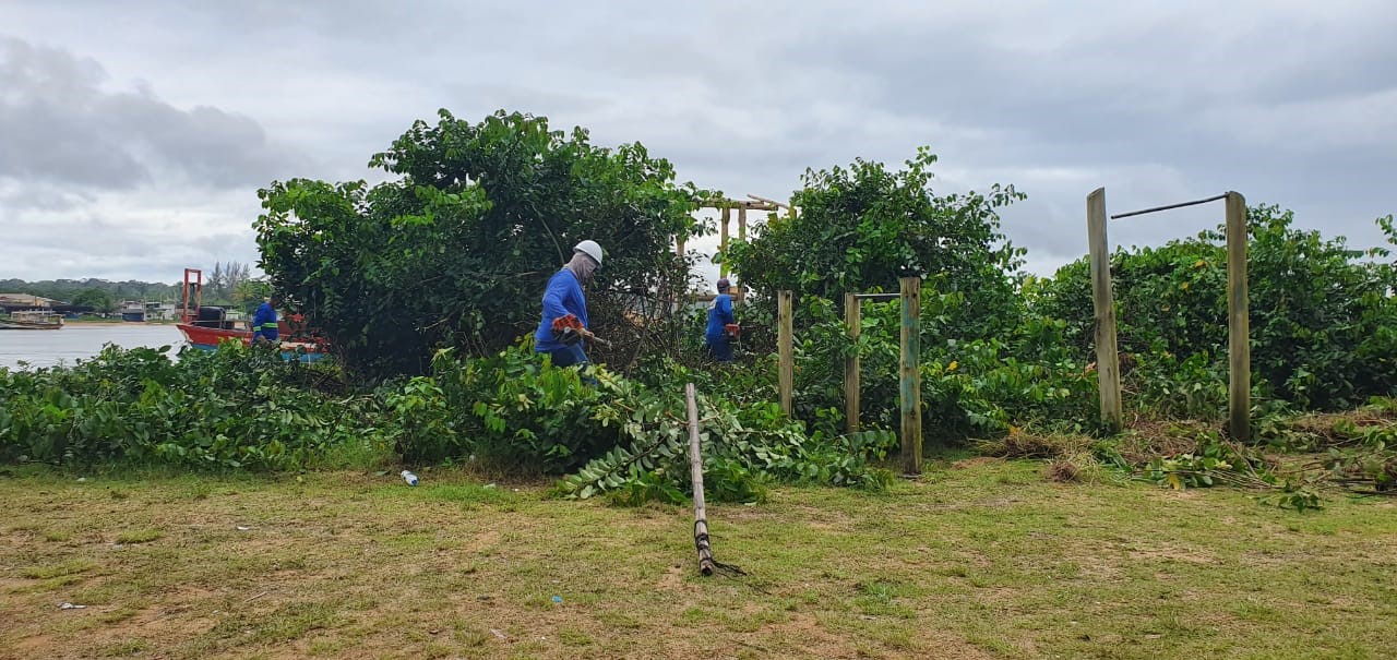 Prefeitura inicia manejo da restinga de Santa Cruz 