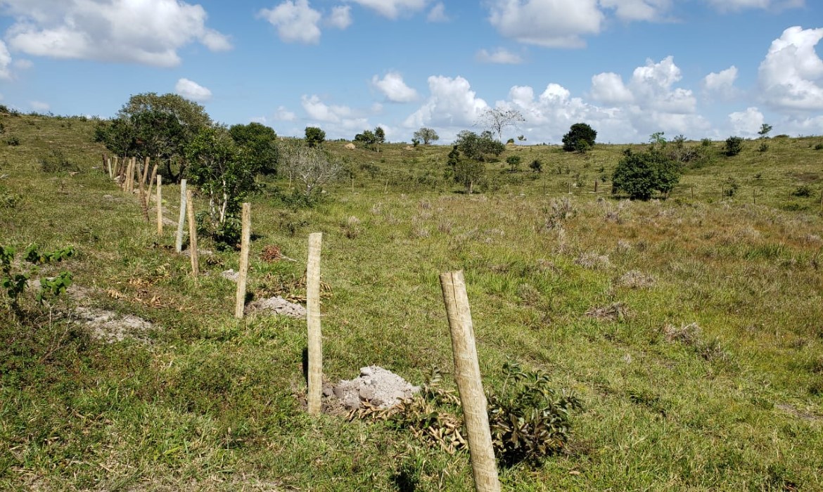 Prefeitura e estudantes vão plantar árvores para proteger nascente na Vila do Riacho