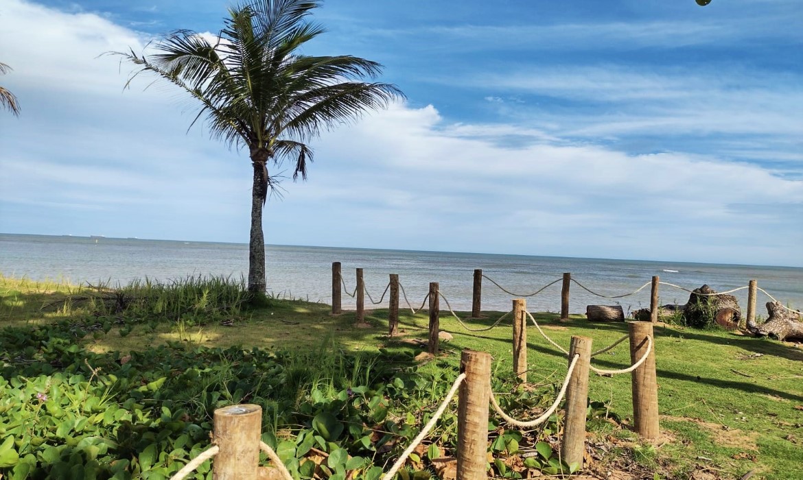 Meio Ambiente visa preservação ambiental e delimita área de restinga