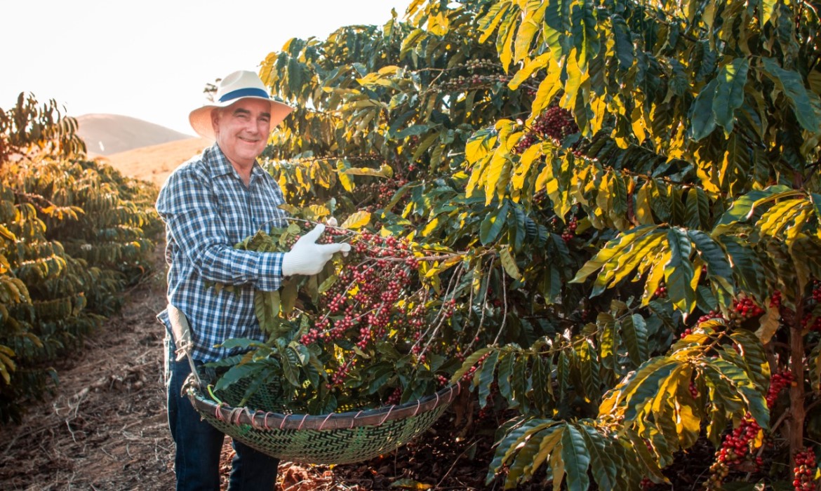 Conheça os serviços disponíveis no Espaço do Produtor Rural, na Casa do Cidadão