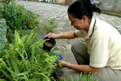 Campanha contra a dengue intensifica trabalho de combate ao mosquito transmissor em Aracruz