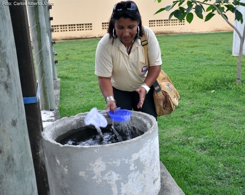 Estratégias de combate à dengue são discutidas pelo Comitê do Programa de Controle da Dengue