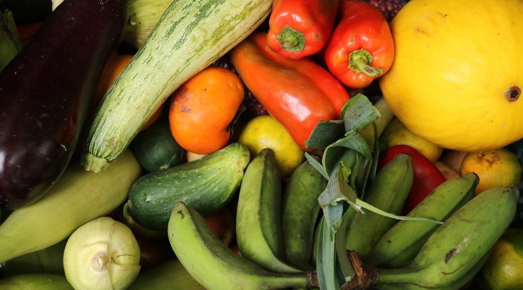 Inscrições abertas para eleição dos membros do Conselho Municipal de Segurança Alimentar e Nutricional de Aracruz