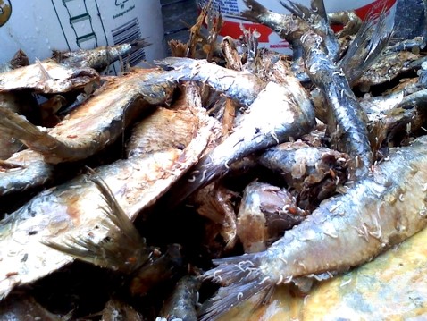 Vigilância Sanitária de Aracruz apreende oito toneladas de pescado